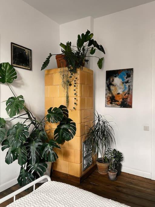 Nastrojowe Mieszkanie W Centrum Gdańsk Extérieur photo